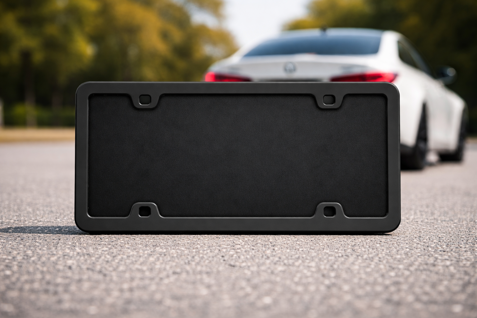 PLATE PRIVACY MODULE